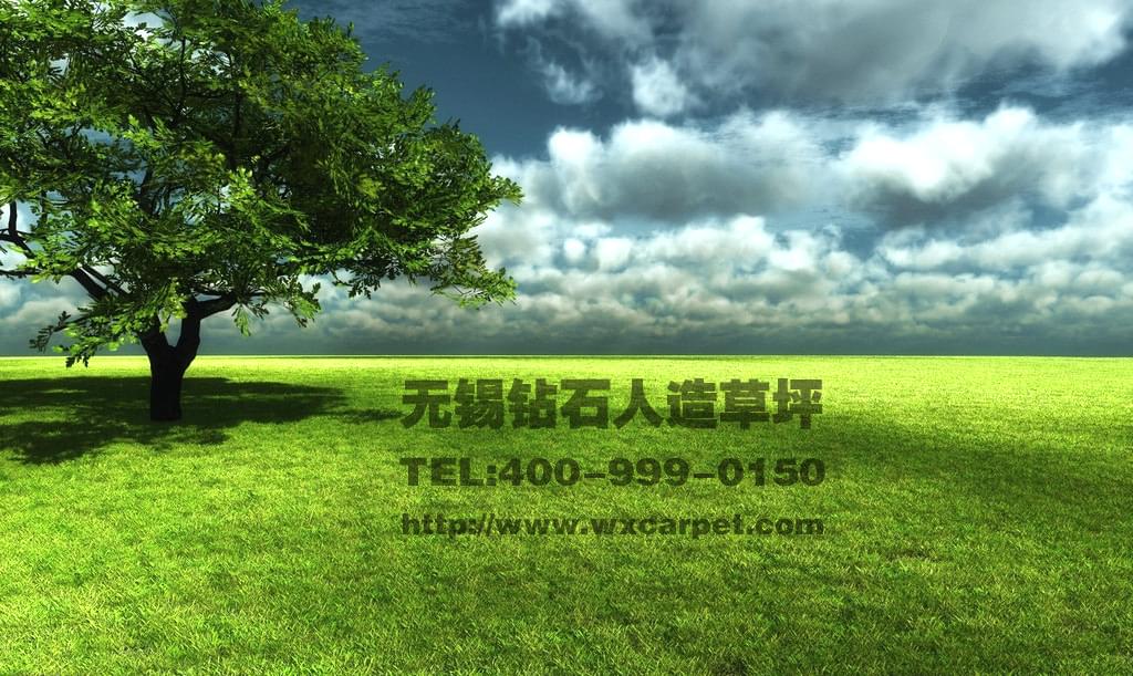 hjc黄金城人造草坪